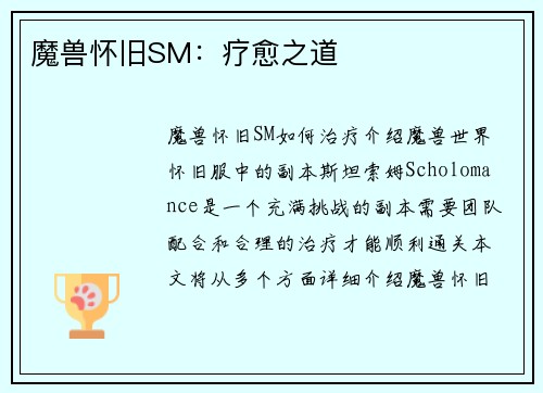 魔兽怀旧SM：疗愈之道